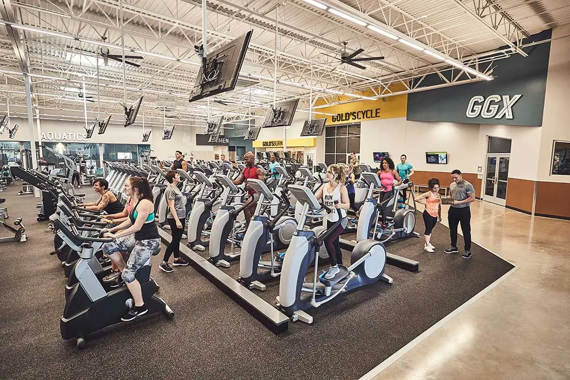 Cardio deck with treadmills